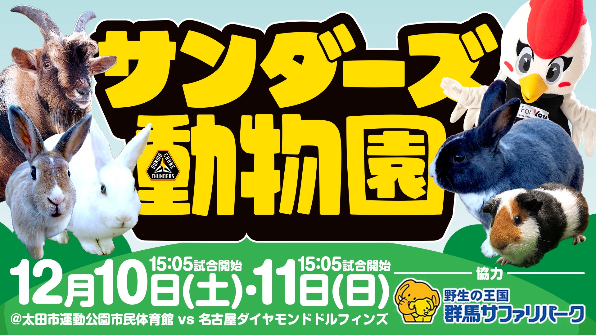 12月10日(土)・11日(日)名古屋D戦はサンダーズ動物園を開催！