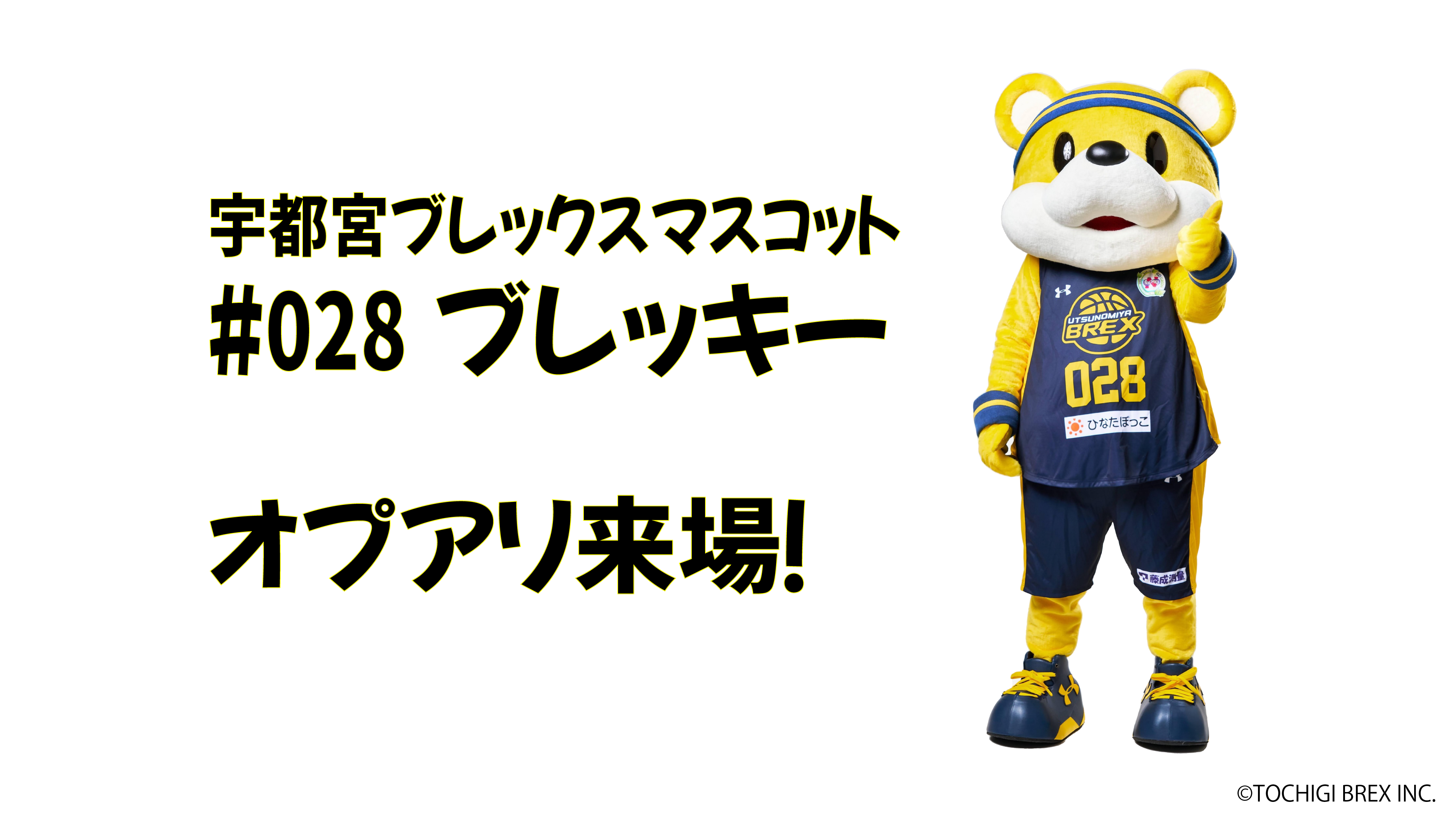 試合情報】3/12(水) 群馬クレインサンダーズ vs 宇都宮