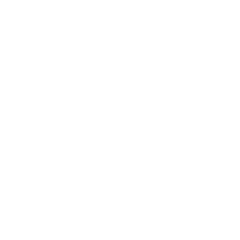 名古屋ダイヤモンドドルフィンズ